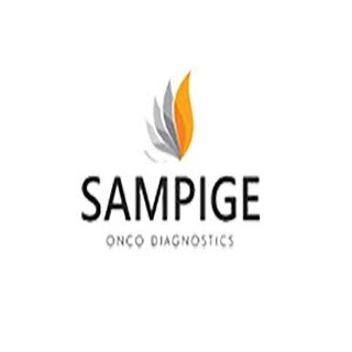 Dmsa Scan Cost In Bangalore Bengaluru Get Up To 20 Off In Best Lab S Labsadvisor