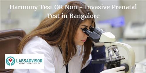 Nipt Test Cost In Bangalore Bengaluru Get Up To 5 Off In Best Lab S Labsadvisor Lowest nipt test cost in india! nipt test in bangalore bengaluru